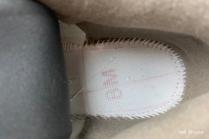 9353 379 StreetReady Jordan 3 CT8532- “Palomino” Air 0902